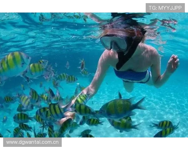 帆船毕焜跨项尝试冲浪